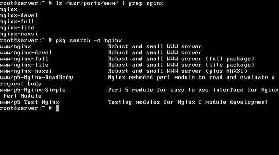 图片[5]_在FreeBSD 11上安装Nginx、MariaDB和PHP（FEMP堆栈）_马特资源网