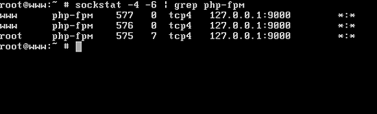 图片[13]_在FreeBSD 11上安装Nginx、MariaDB和PHP（FEMP堆栈）_马特资源网