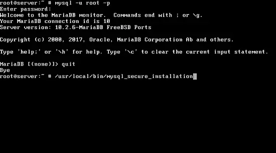 图片[2]_在FreeBSD 11上安装Nginx、MariaDB和PHP（FEMP堆栈）_马特资源网