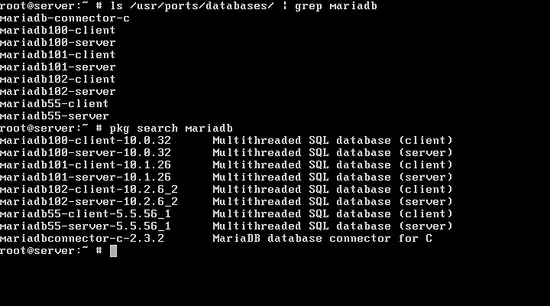 在FreeBSD 11上安装Nginx、MariaDB和PHP（FEMP堆栈）_马特资源网