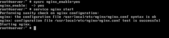 图片[7]_在FreeBSD 11上安装Nginx、MariaDB和PHP（FEMP堆栈）_马特资源网