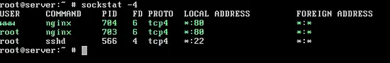 图片[8]_在FreeBSD 11上安装Nginx、MariaDB和PHP（FEMP堆栈）_马特资源网